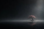 Cherry Blossom Tree Minimalism Wall Art Poster | Landscape