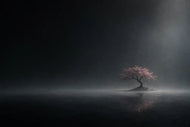 Cherry Blossom Tree Minimalism Wall Art Poster | Landscape
