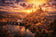 Elden Ring Leyndell Royal Capital Wall Art Poster | Landscape
